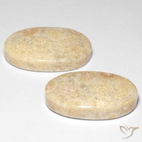 Shop natural 29.31ct マルチカラー 化石サンゴ gems, 楕円形, from インドネシア at GemSelect. In stock, global shipping!