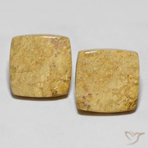 Shop natural 30.55ct マルチカラー 化石サンゴ gems, クッション, from インドネシア at GemSelect. In stock, global shipping!