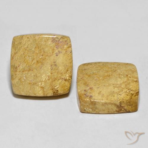 Shop natural 30.55ct マルチカラー 化石サンゴ gems, クッション, from インドネシア at GemSelect. In stock, global shipping!
