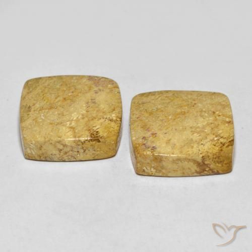 Shop natural 30.55ct マルチカラー 化石サンゴ gems, クッション, from インドネシア at GemSelect. In stock, global shipping!