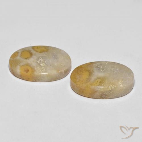 Shop natural 25.55ct マルチカラー 化石サンゴ gems, 楕円形, from インドネシア at GemSelect. In stock, global shipping!