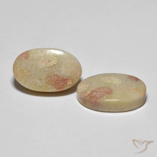 Shop natural 23.37ct マルチカラー 化石サンゴ gems, 楕円形, from インドネシア at GemSelect. In stock, global shipping!