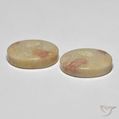 Shop natural 23.37ct マルチカラー 化石サンゴ gems, 楕円形, from インドネシア at GemSelect. In stock, global shipping!