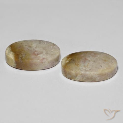 Shop natural 34.92ct マルチカラー 化石サンゴ gems, 楕円形, from インドネシア at GemSelect. In stock, global shipping!