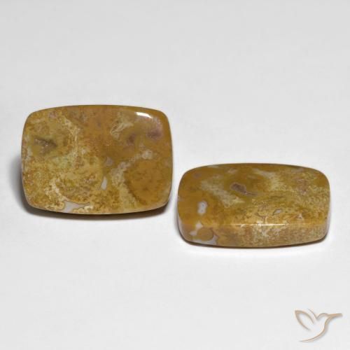 Shop natural 27.23ct マルチカラー 化石サンゴ gems, クッション, from インドネシア at GemSelect. In stock, global shipping!