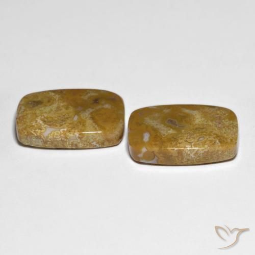 Shop natural 27.23ct マルチカラー 化石サンゴ gems, クッション, from インドネシア at GemSelect. In stock, global shipping!