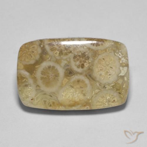 9.53ct 天然 マルチカラー 化石サンゴ, クッション, オペーク