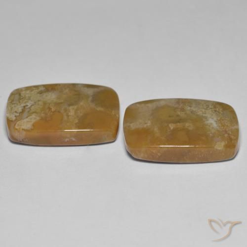 Shop natural 25.23ct マルチカラー 化石サンゴ gems, クッション, from インドネシア at GemSelect. In stock, global shipping!
