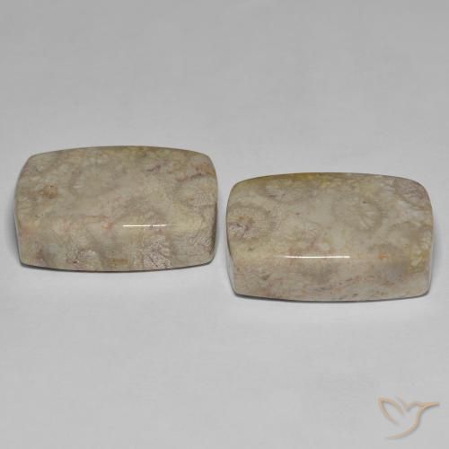 Shop natural 45.70ct マルチカラー 化石サンゴ gems, クッション, from インドネシア at GemSelect. In stock, global shipping!