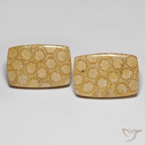 自然派の商品を探す 27.38ct マルチカラー 化石サンゴ 宝石, クッションカット, インドネシア からGemSelectで. 在庫あり、世界各国へ発送!