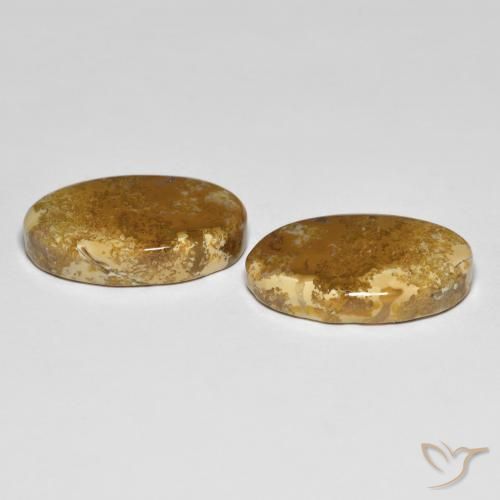 Shop natural 20.87ct マルチカラー 化石サンゴ gems, 楕円形, from インドネシア at GemSelect. In stock, global shipping!