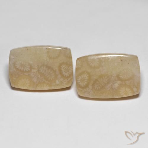 Shop natural 26.20ct マルチカラー 化石サンゴ gems, クッション, from インドネシア at GemSelect. In stock, global shipping!