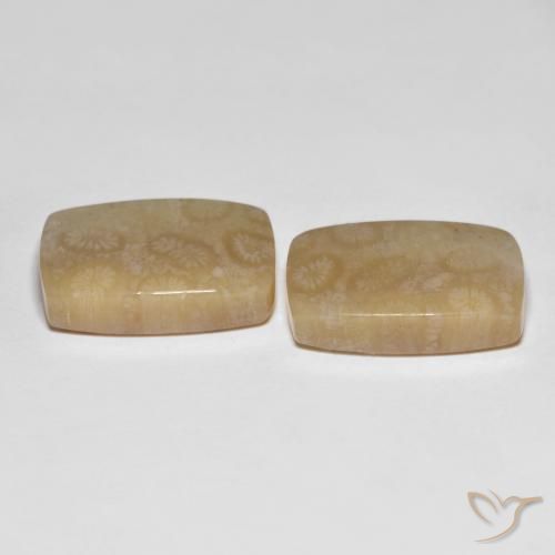 Shop natural 26.20ct マルチカラー 化石サンゴ gems, クッション, from インドネシア at GemSelect. In stock, global shipping!