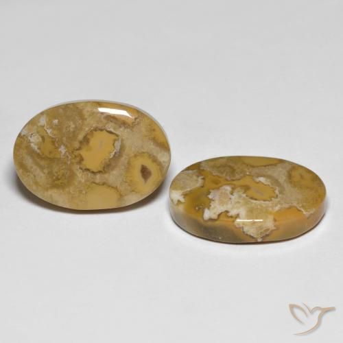 Shop natural 23.71ct マルチカラー 化石サンゴ gems, 楕円形, from インドネシア at GemSelect. In stock, global shipping!