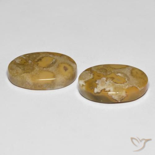 Shop natural 23.71ct マルチカラー 化石サンゴ gems, 楕円形, from インドネシア at GemSelect. In stock, global shipping!