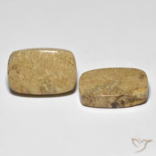 Shop natural 23.12ct マルチカラー 化石サンゴ gems, クッション, from インドネシア at GemSelect. In stock, global shipping!
