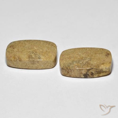 Shop natural 23.12ct マルチカラー 化石サンゴ gems, クッション, from インドネシア at GemSelect. In stock, global shipping!