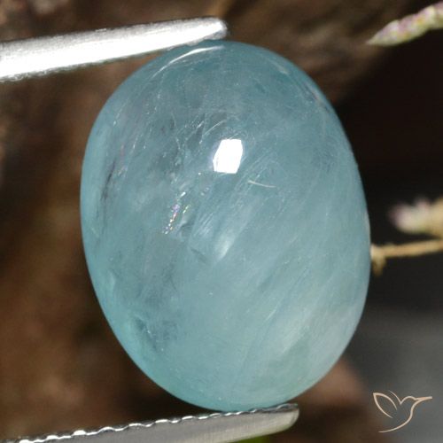 4.58ct 天然 ライトブルーグリーン グランディデライト, 楕円形, 半透明