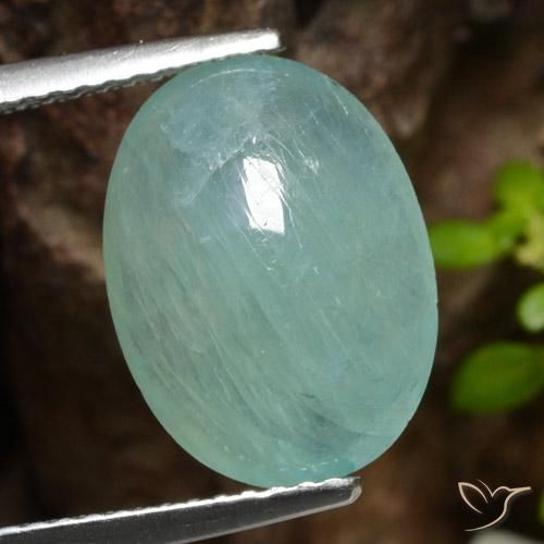 5.25ct 天然 ブルーグリーン グランディデライト, 楕円形, 半透明