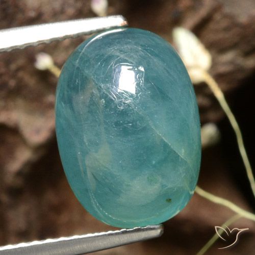 6.02ct 天然 ミディアムダークブルーグリーン グランディデライト, 楕円形, 半透明