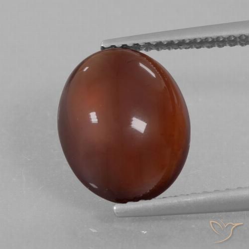 5.35ct 天然 ウォームブラウン ヘソナイトガーネット, 楕円形, 半透明