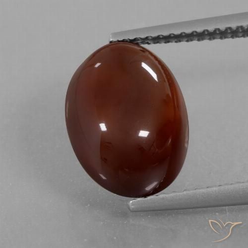 6.21ct 天然 ミディアムダークブラウン ヘソナイトガーネット, 楕円形, 半透明