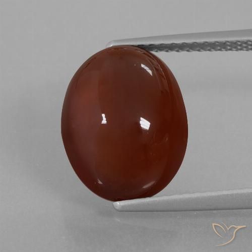 7.55ct 天然 ペカンブラウン ヘソナイトガーネット, 楕円形, 半透明