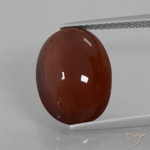 7.29ct 天然 ミディアムダークブラウン ヘソナイトガーネット, 楕円形, 半透明