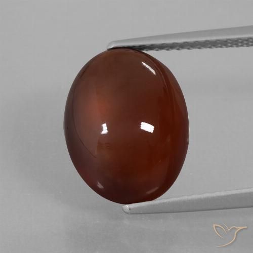 6.64ct 天然 赤みがかったブラウン ヘソナイトガーネット, 楕円形, 半透明