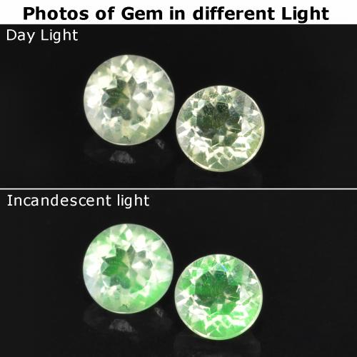 自然派の商品を探す 0.23ct ライトグリーン ハイアライトオパール 宝石, ラウンドカット, メキシコ からGemSelectで. 在庫あり、世界各国へ発送!