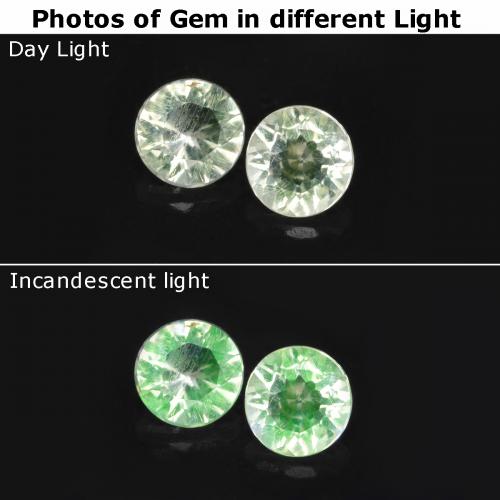 自然派の商品を探す 0.23ct ライトグリーン ハイアライトオパール 宝石, ラウンドカット, メキシコ からGemSelectで. 在庫あり、世界各国へ発送!