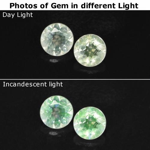 自然派の商品を探す 0.24ct ライトグリーン ハイアライトオパール 宝石, ラウンドカット, メキシコ からGemSelectで. 在庫あり、世界各国へ発送!