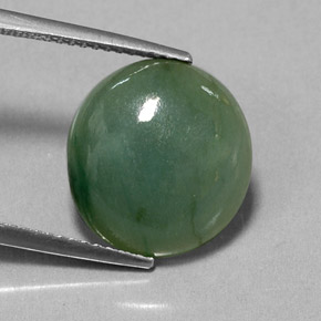 7.70カラットの天然グリーンヒスイ輝石（ジェダイト）（14×13 mm・透明）