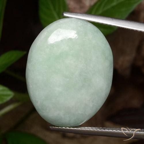27.82ct 天然 ライトグリーン ジェダイト, 楕円形, オペーク