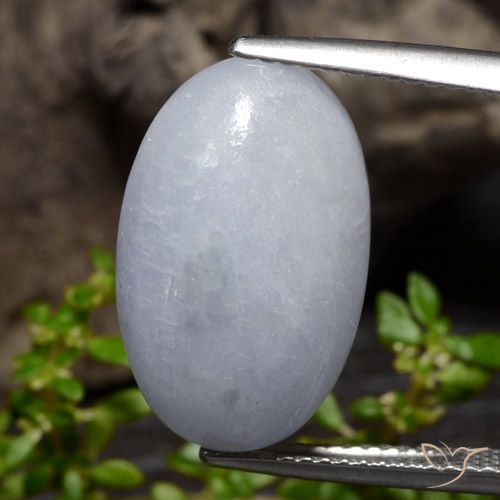 12.71ct 天然 薄いグレー ジェダイト, 楕円形, オペーク