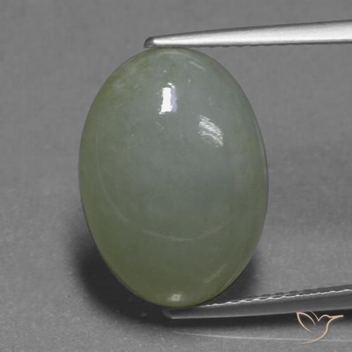 9.51ct 天然 ウォームグリーン ジェダイト, 楕円形, 半透明