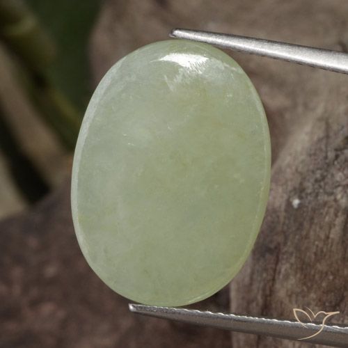 11.65ct 天然 ミディアムグリーン ジェダイト, 楕円形, 半透明