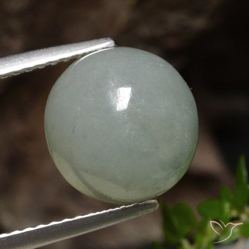 6.51ct 天然 薄いフォレストグリーン ジェダイト, ラウンド, 半透明