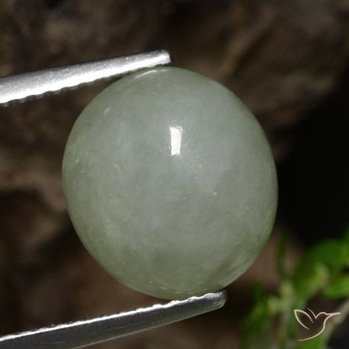 6.92ct 天然 ミディアムグリーン ジェダイト, 楕円形, 半透明