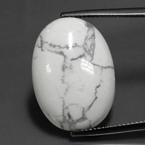 16.90カラットの天然マルチカラージャスパー（22.6×16.2 mm・オーバルカット）