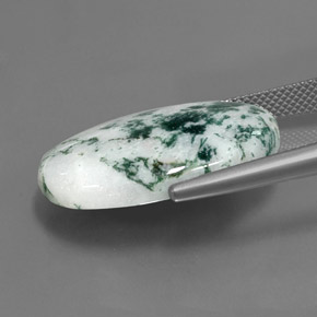 17.10カラットの天然マルチカラー碧玉、オーバルカット、オペーク