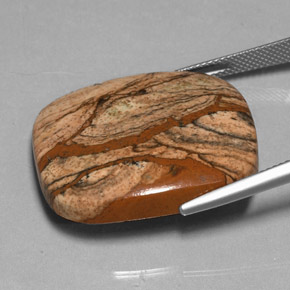 38.85カラットの天然マルチカラージャスパー（28.7×24.8 mm・クッションカット）