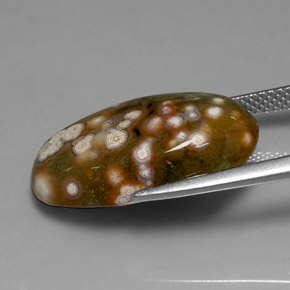 10.86カラットの天然マルチカラージャスパー（21.6×11.2 mm・オーバルカット）