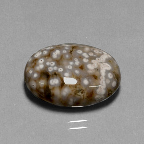 13.68カラットの天然マルチカラージャスパー（18.9×14.3 mm・オーバルカット）