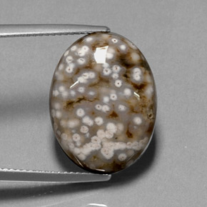 13.68カラットの天然マルチカラージャスパー（18.9×14.3 mm・オーバルカット）
