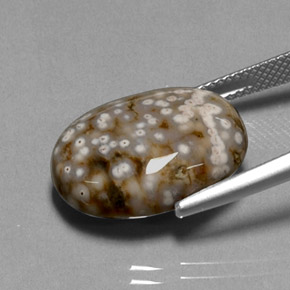 13.68カラットの天然マルチカラージャスパー（18.9×14.3 mm・オーバルカット）