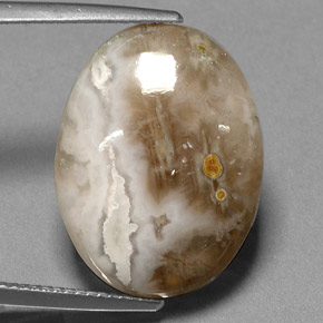 14.72カラットの天然マルチカラージャスパー（20.3×15.4 mm・透明）