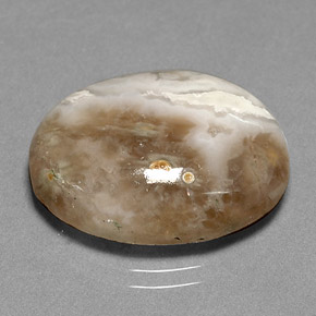 14.72カラットの天然マルチカラージャスパー（20.3×15.4 mm・透明）