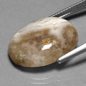 14.72カラットの天然マルチカラージャスパー（20.3×15.4 mm・透明）