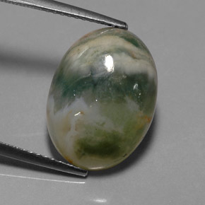 9.17カラットの天然マルチカラージャスパー（16.7×12.3 mm・透明）